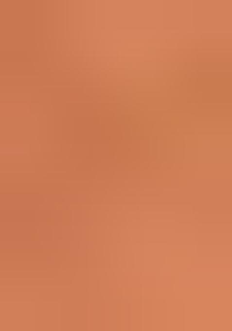 Peach Zari Woven Rangkat Organza Saree Organza Saree Set