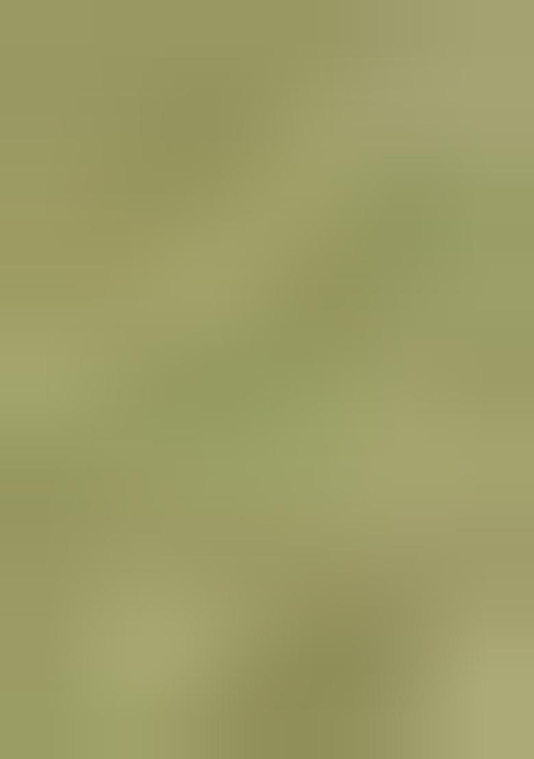 Pista Green Zari Woven Rangkat Organza Saree Organza Saree Set