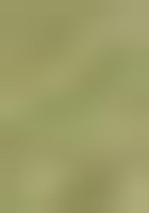 Pista Green Zari Woven Rangkat Organza Saree Organza Saree Set