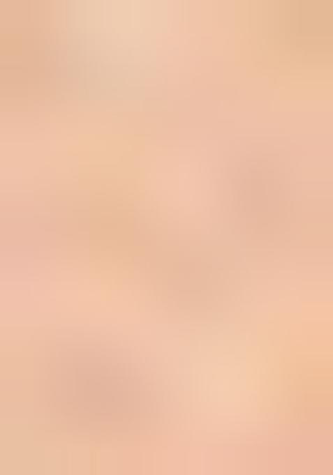 Beige Zari Woven Patola Organza Saree Organza Saree Set