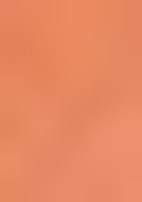 Peach Zari Woven Patola Organza Saree Organza Saree Set