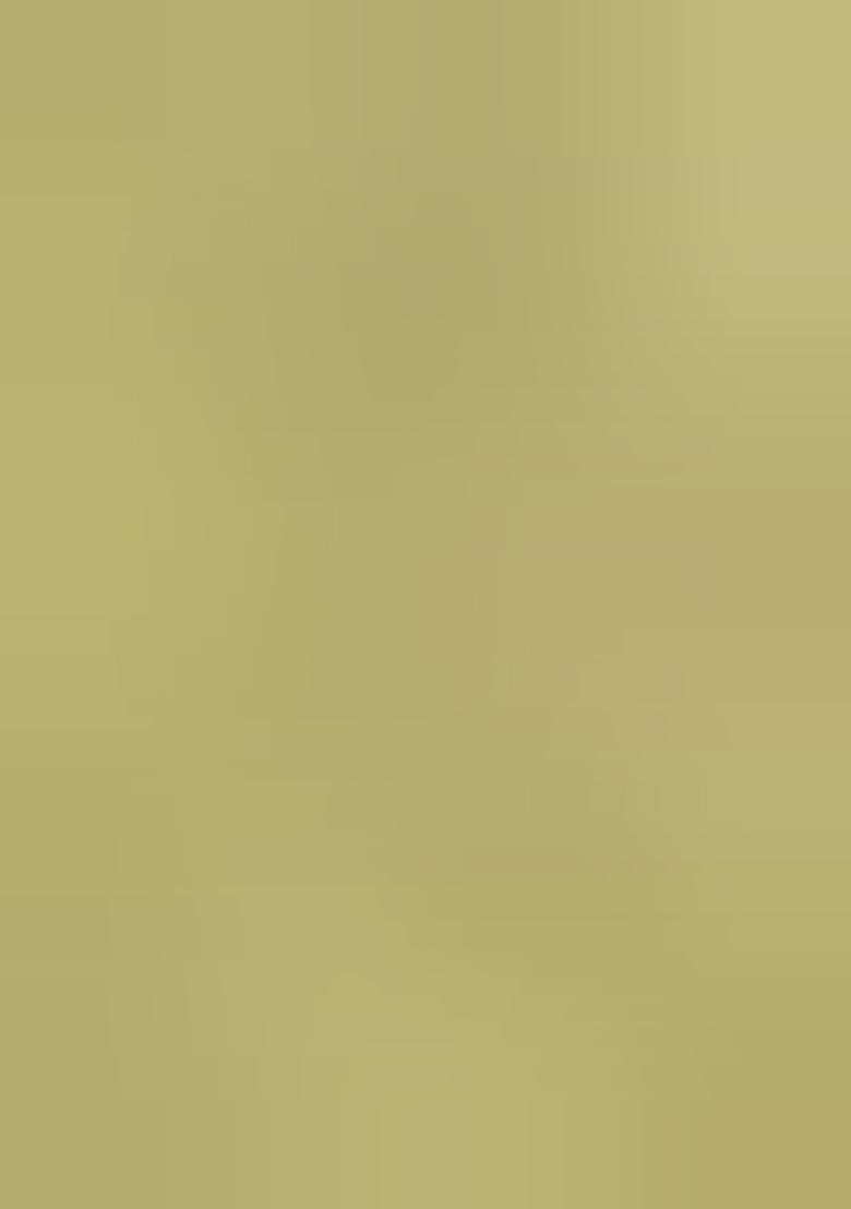 Pista Green Zari Woven Patola Organza Saree Organza Saree Set