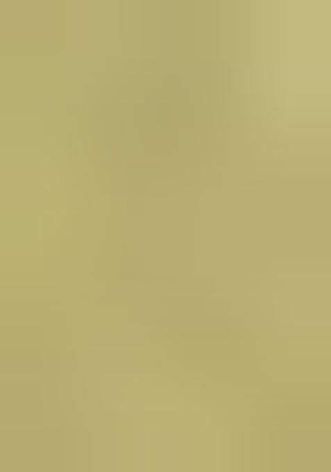 Pista Green Zari Woven Patola Organza Saree Organza Saree Set