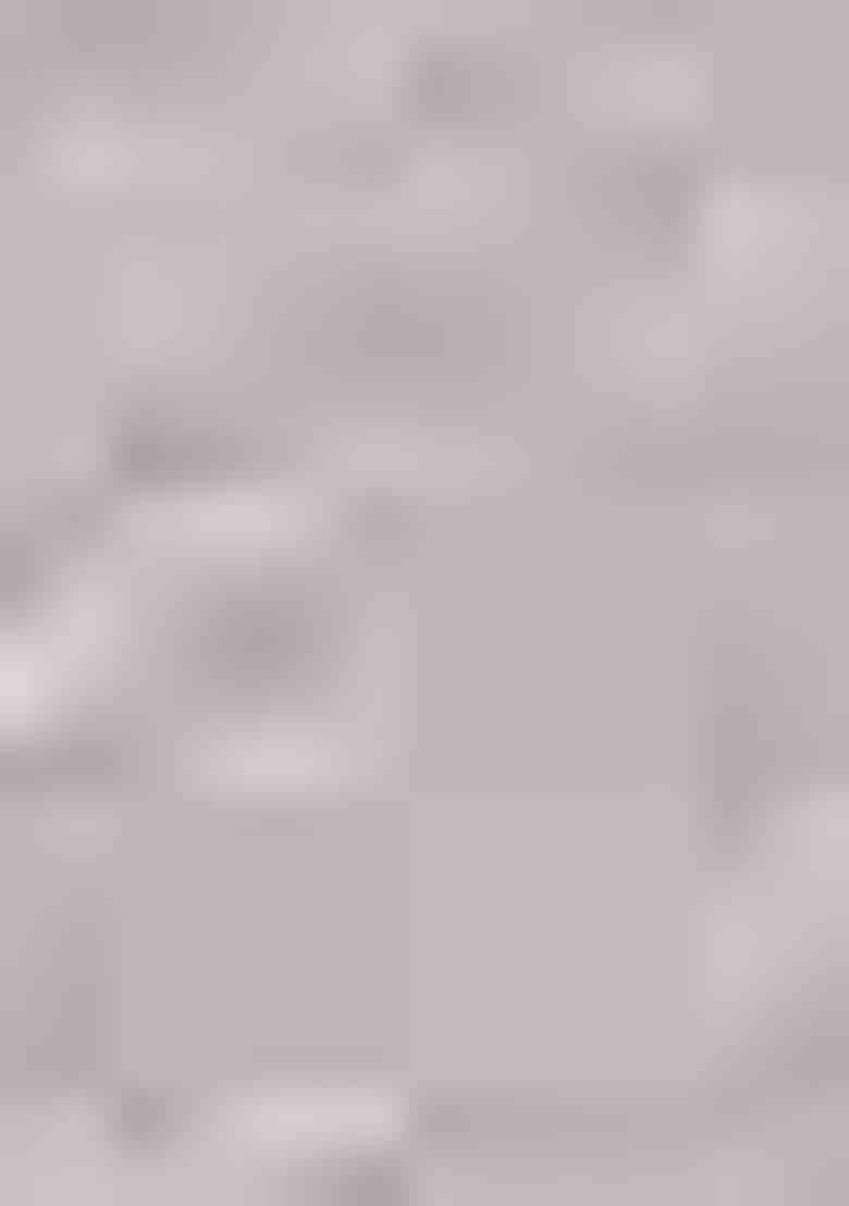 Grey Swarovski Zircon Work Chiffon Saree Set