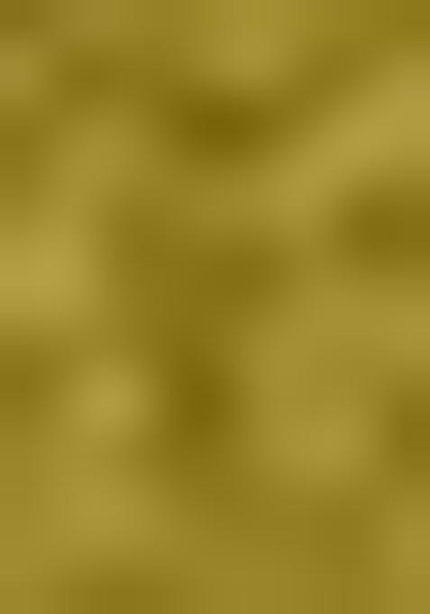 Mehendi Green Khatli Handwork Tissue Linen Saree Set