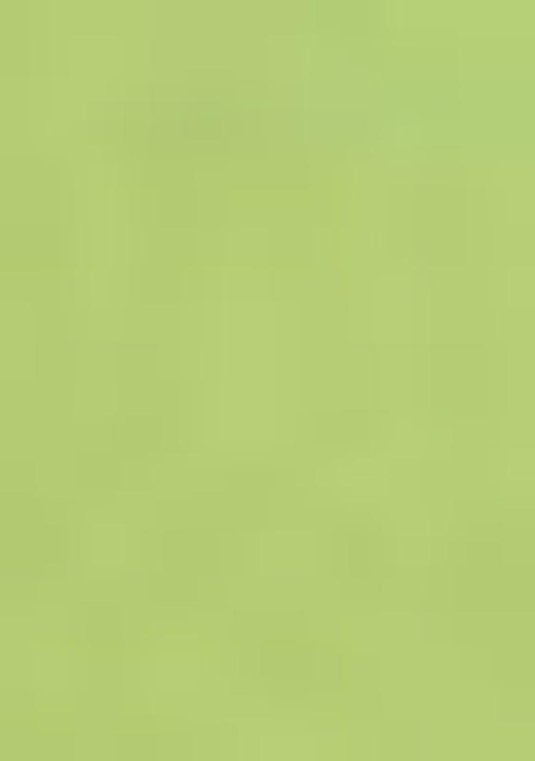 Parrot Green Zari Woven Kalamkari Saree Set