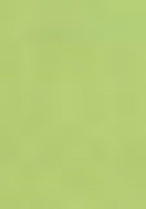 Parrot Green Zari Woven Kalamkari Saree Set