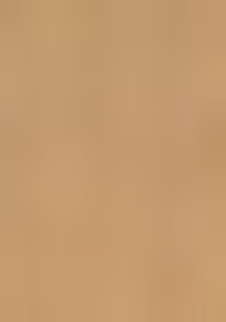 Gold Zari Woven Kalamkari Saree Set