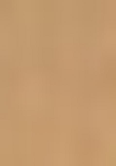 Gold Zari Woven Kalamkari Saree Set