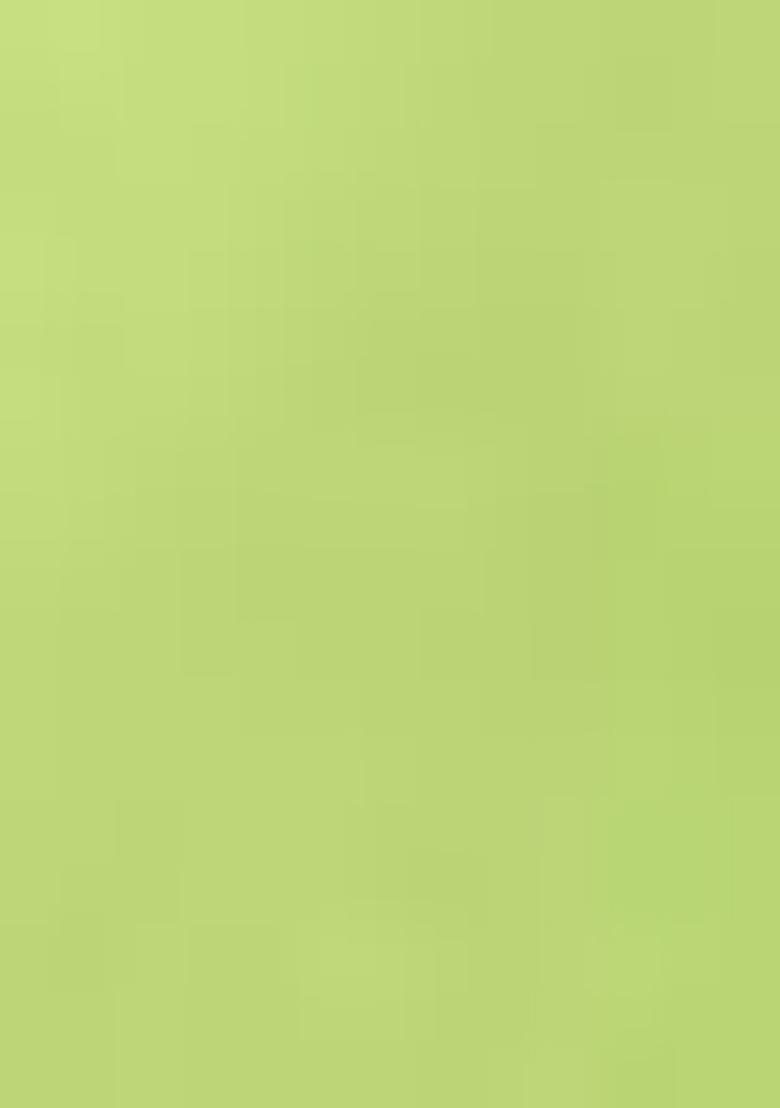 Parrot Green Zari Woven Kalamkari Saree Set