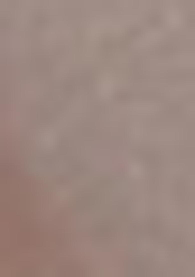 Grey Zari Woven Kalamkari Saree Set