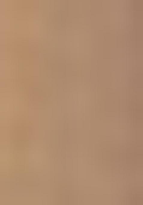 Gold Zari Woven Kalamkari Saree Set