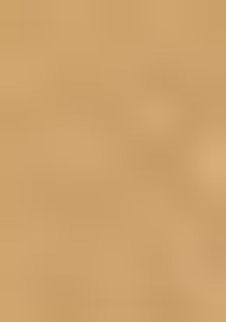 Gold Zari Woven Kalamkari Saree Set