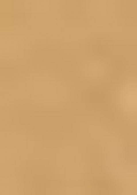 Gold Zari Woven Kalamkari Saree Set