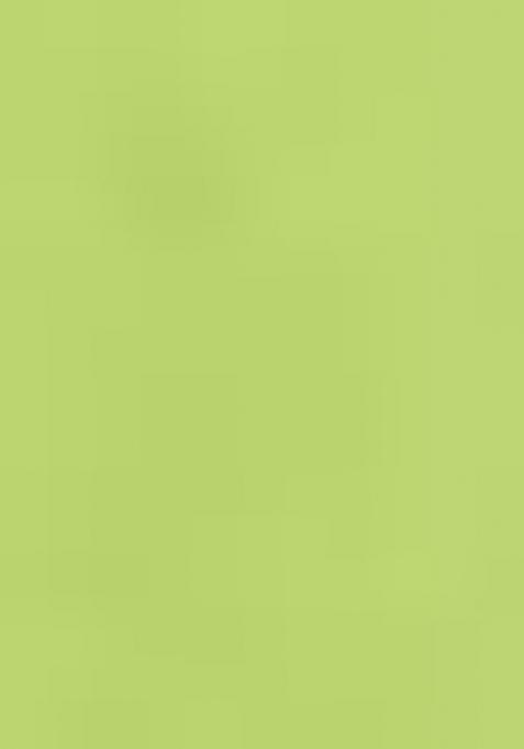 Parrot Green Zari Woven Kalamkari Saree Set