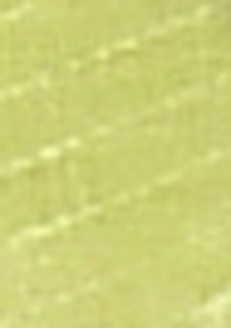 Garden Green Handloom Pure Cotton Saree Set