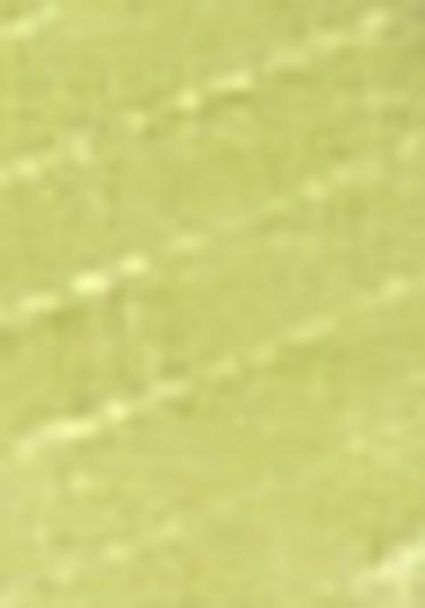 Garden Green Handloom Pure Cotton Saree Set