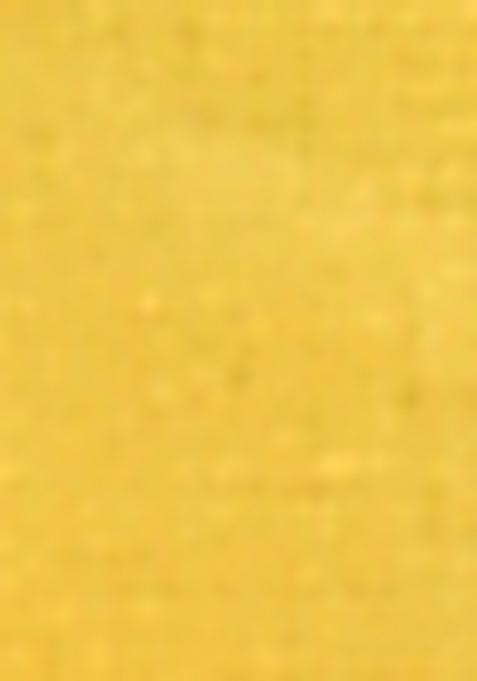 Yellow Handloom Pure Cotton Saree Set