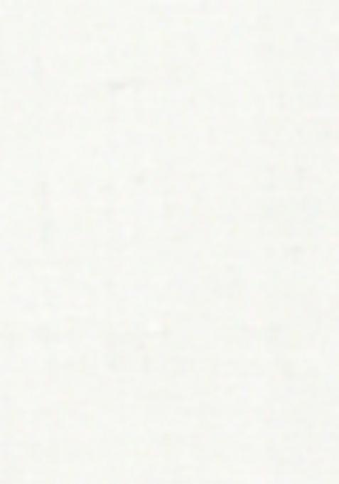 Off White Handloom Pure Cotton Saree Set