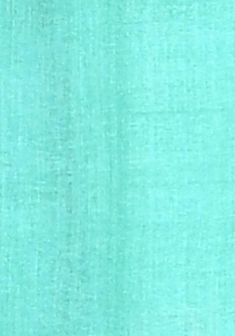 Light Green Handloom Pure Tussar Silk Saree Set