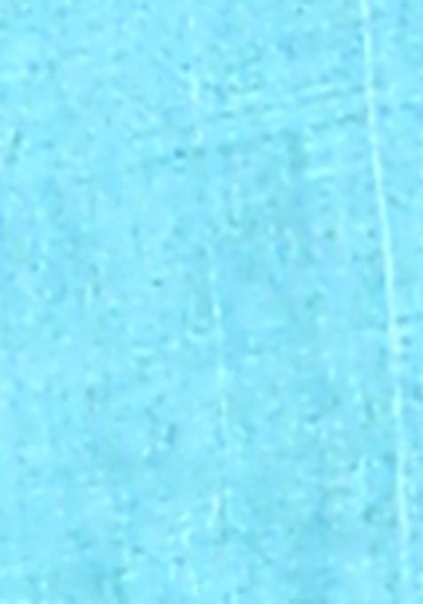 Sky Blue Handloom Pure Tussar Silk Saree Set