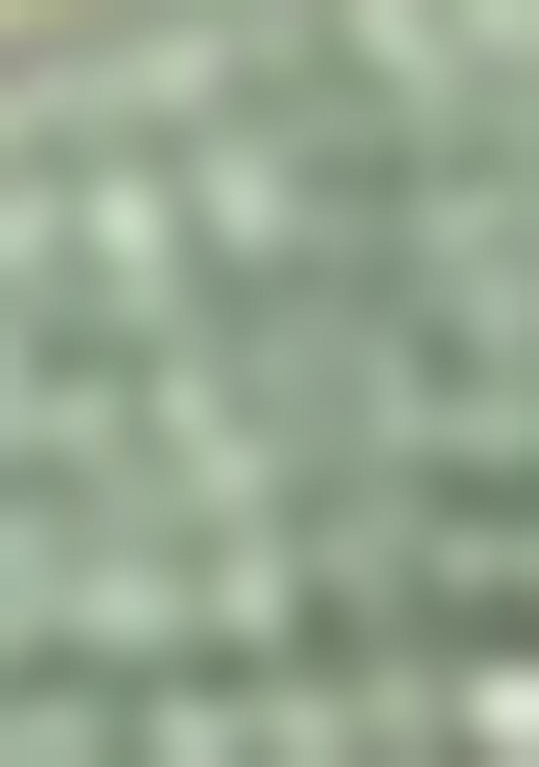 Green Chandari Silk Chanderi Saree Set