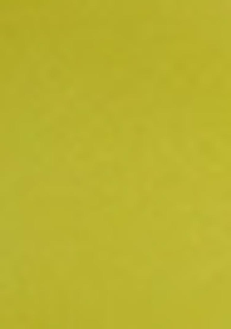 Green Embroidered Georgette Saree Set