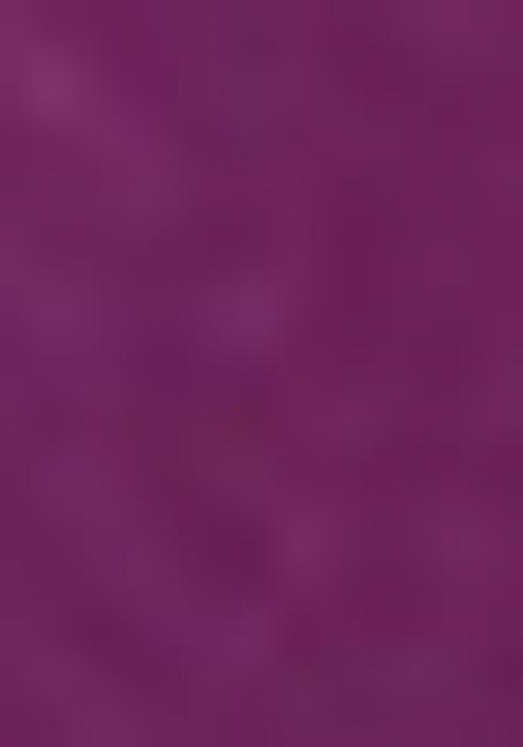 Wine Embroidered Organza Saree Set