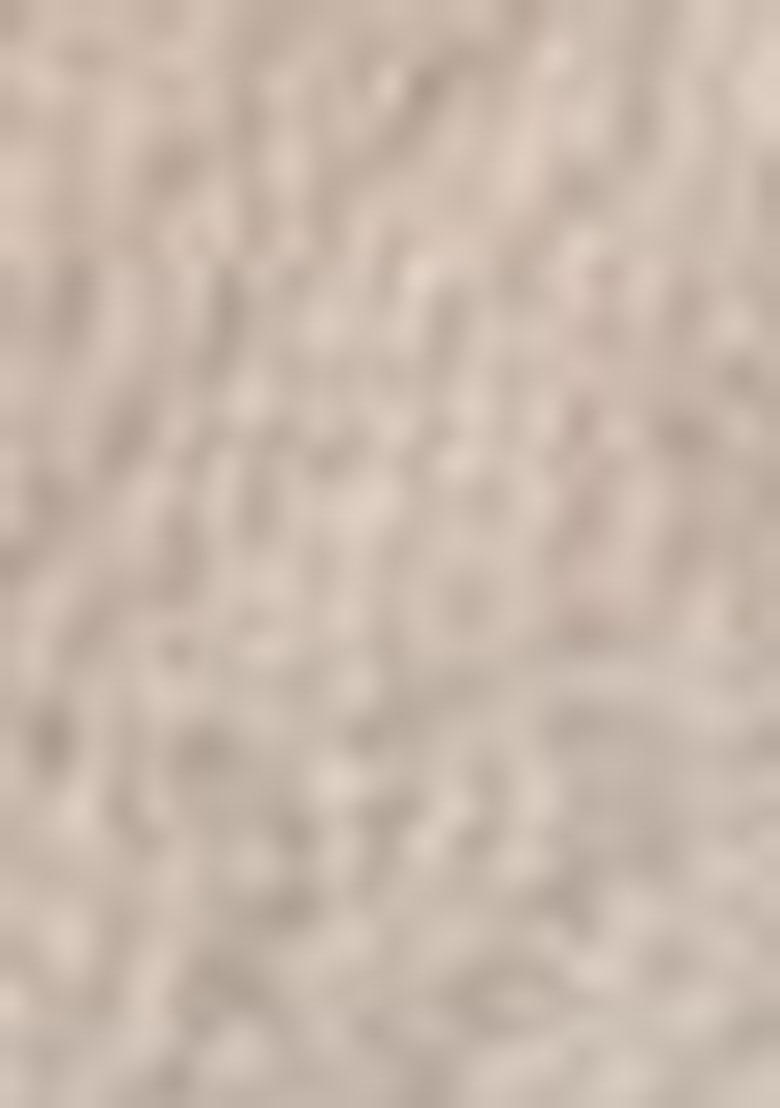 Silver Printed Georgette Saree Set