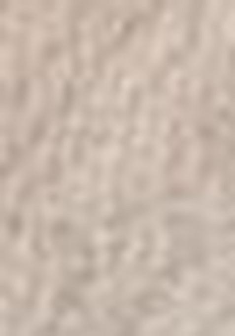 Silver Printed Georgette Saree Set