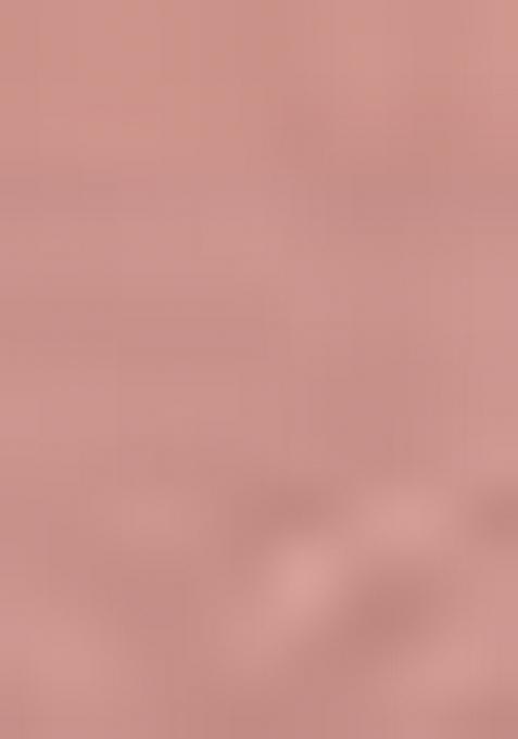 Peach Printed Georgette Saree Set