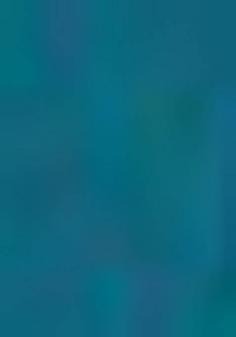 Sea Green Printed Georgette Saree Set