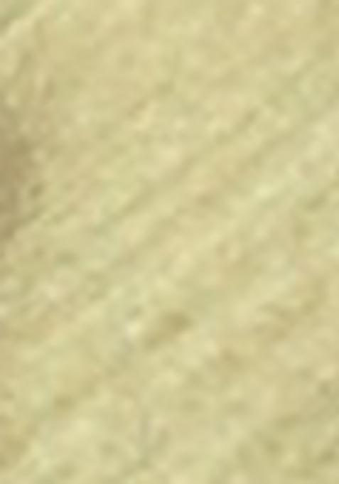 Green Printed Satin Pre Stitched Saree