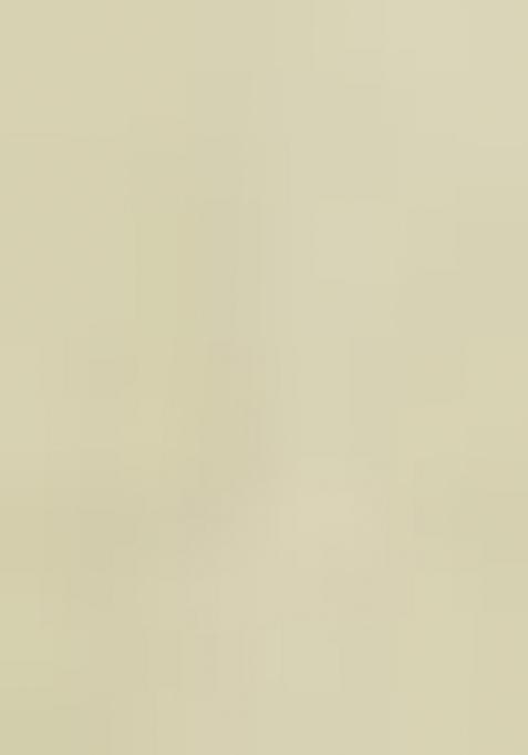 Pista Green Printed Organza Pre Stitched Saree