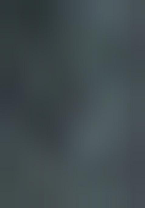 Green Printed Jacquard Silk Pre Stitched Saree