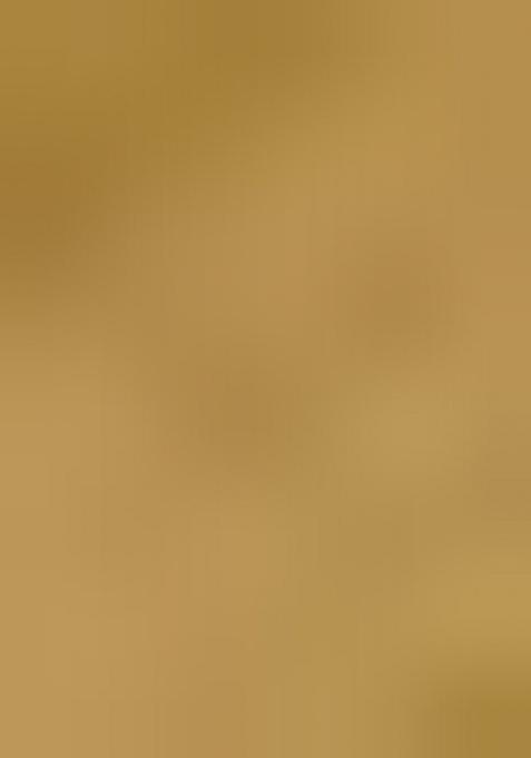 Yellow Embroidered Silk Saree