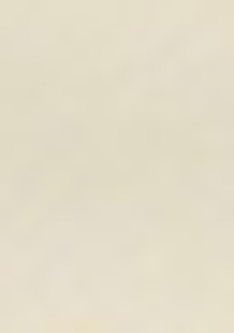 Orange Mirror Work Chiffon Saree Set