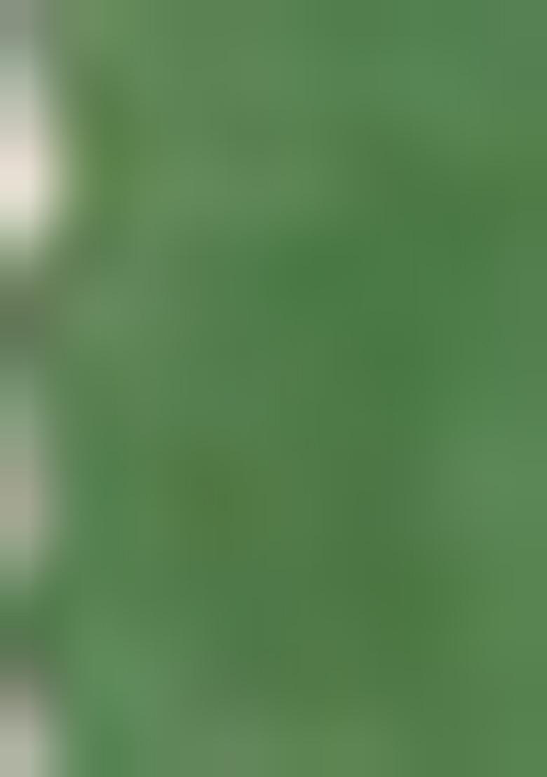 Green Mirror Work Chiffon Saree Set