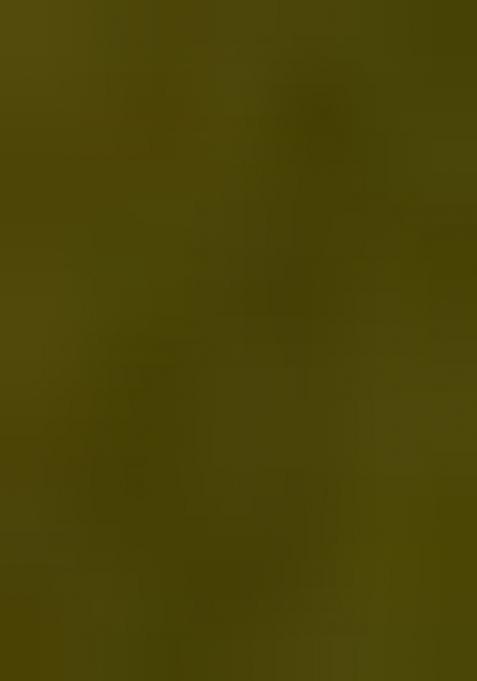 Moss Green Embroidered Cotton Saree Set