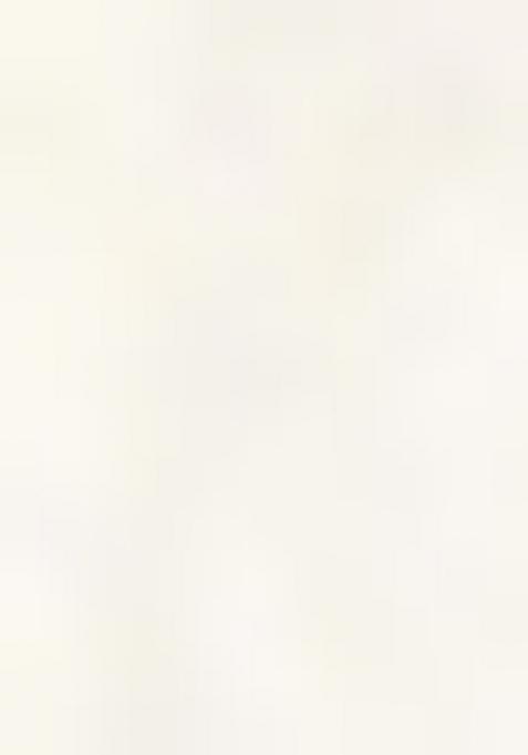 Off White Embroidered Cotton Saree Set