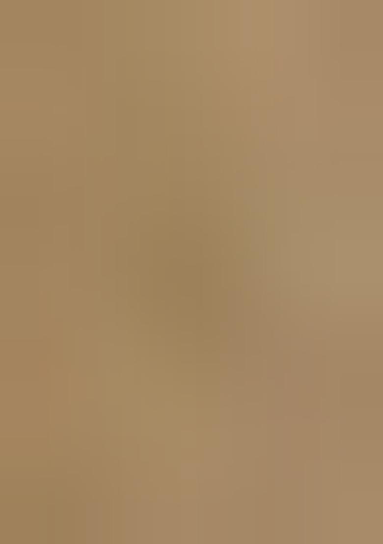 Silver Gold Solid Tissue Saree Set