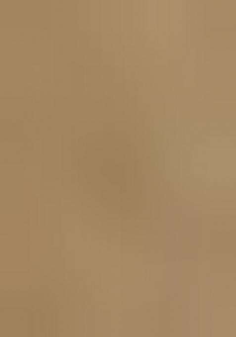 Silver Gold Solid Tissue Saree Set