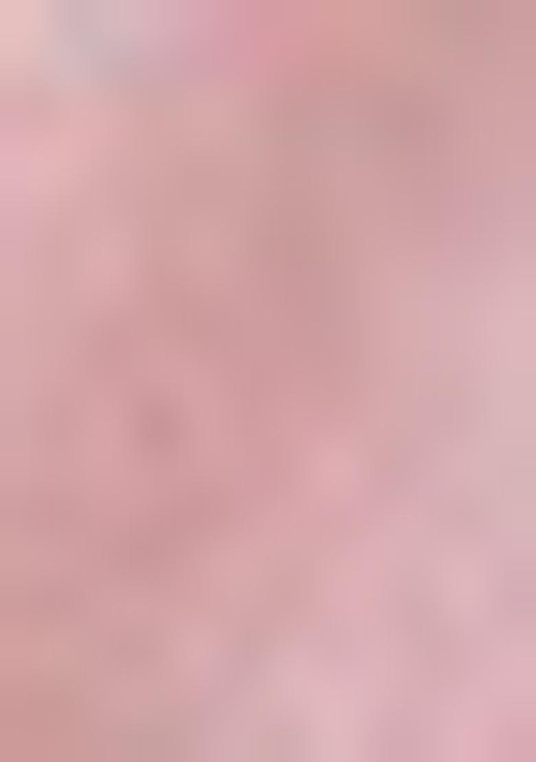 Gajari Embroidered Georgette Saree Set