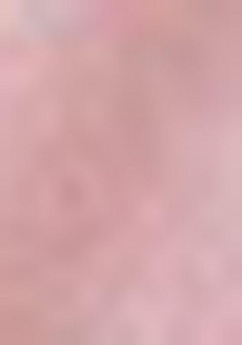 Gajari Embroidered Georgette Saree Set