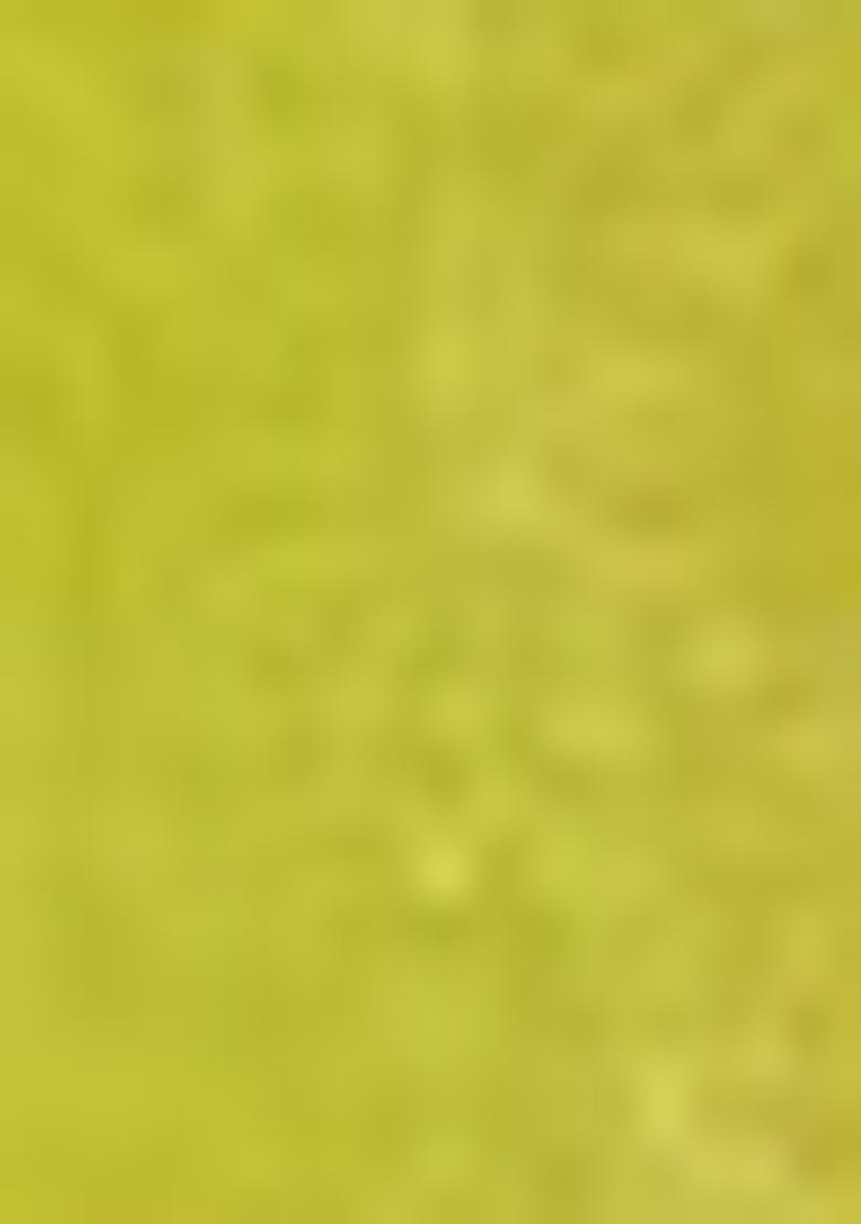 Devdas Embroidered Chiffon Saree Set