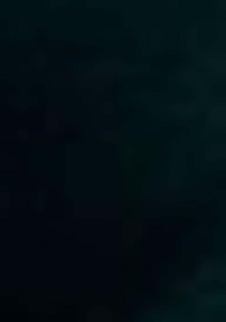 Green Embroidered Chiffon Saree Set