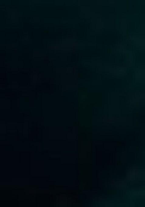 Green Embroidered Chiffon Saree Set