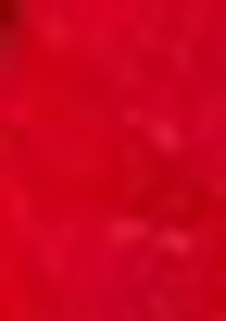 Green Embroidered Chiffon Saree Set