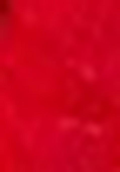 Green Embroidered Chiffon Saree Set