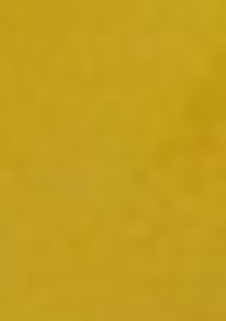 Devdas Embroidered Georgette Saree Set